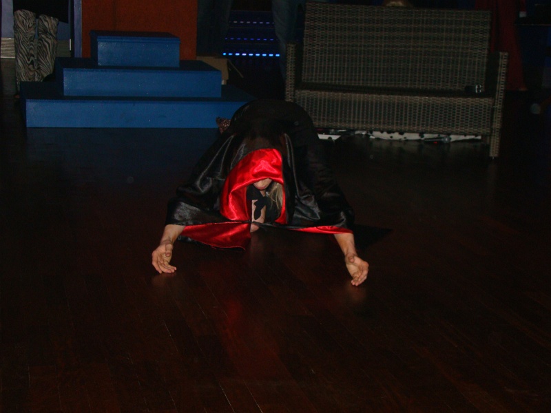 20112012 Sylvester 245